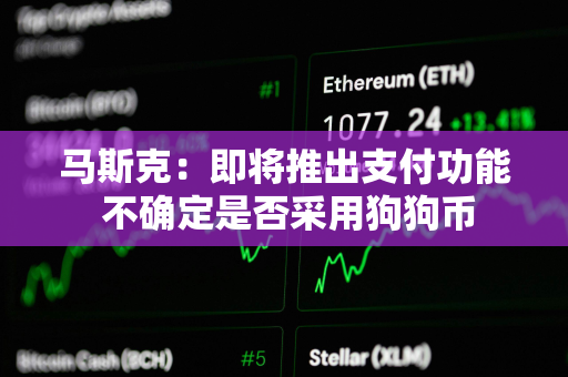 马斯克：即将推出支付功能 不确定是否采用狗狗币