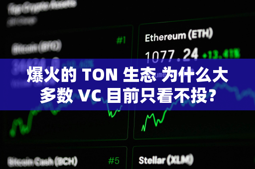 爆火的 TON 生态 为什么大多数 VC 目前只看不投？