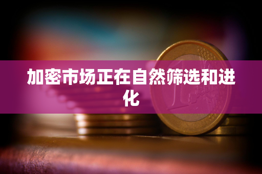 加密市场正在自然筛选和进化