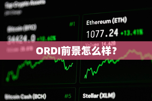 ORDI前景怎么样？