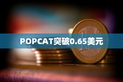 POPCAT突破0.65美元