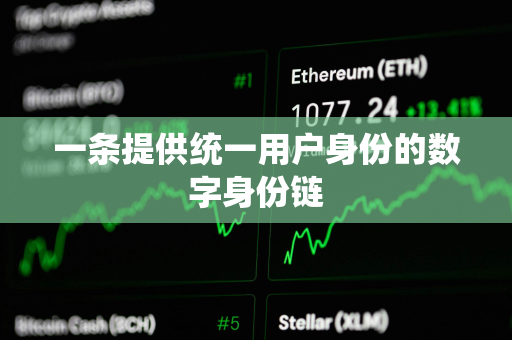 一条提供统一用户身份的数字身份链