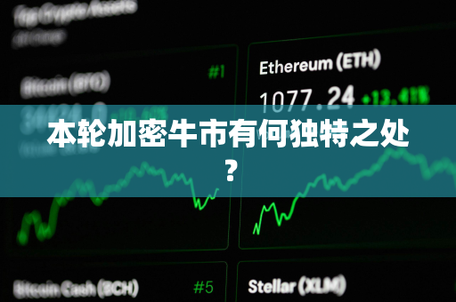 本轮加密牛市有何独特之处？