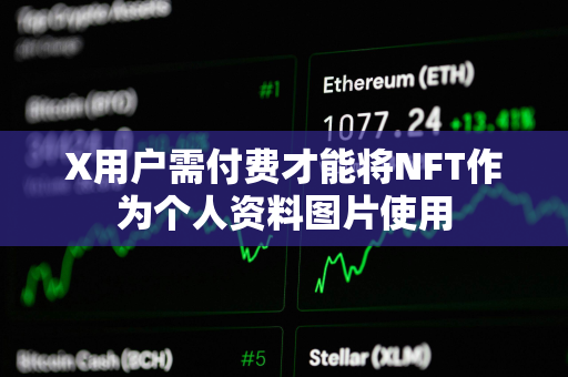 X用户需付费才能将NFT作为个人资料图片使用