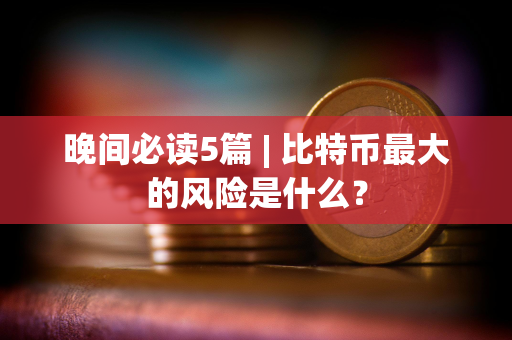 晚间必读5篇 | 比特币最大的风险是什么？