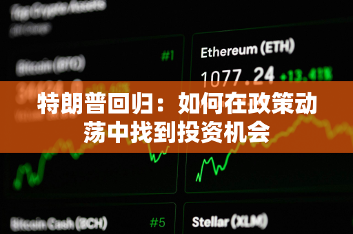 特朗普回归：如何在政策动荡中找到投资机会