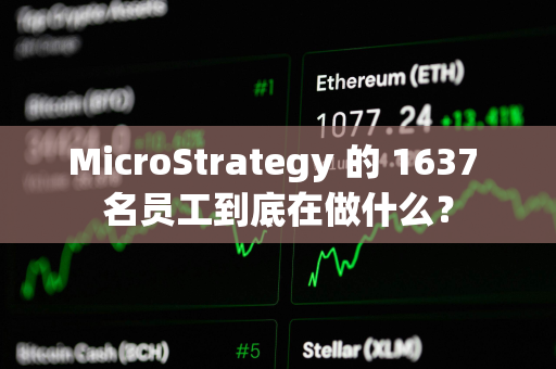 MicroStrategy 的 1637 名员工到底在做什么？