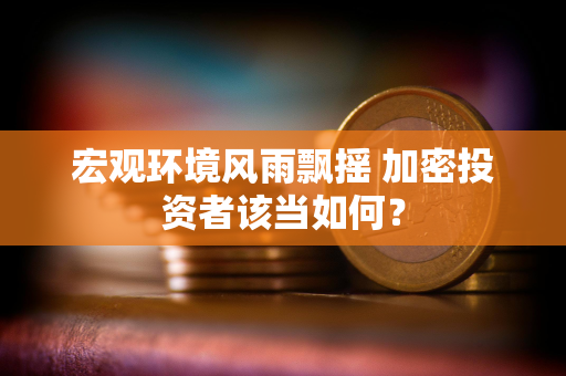宏观环境风雨飘摇 加密投资者该当如何？