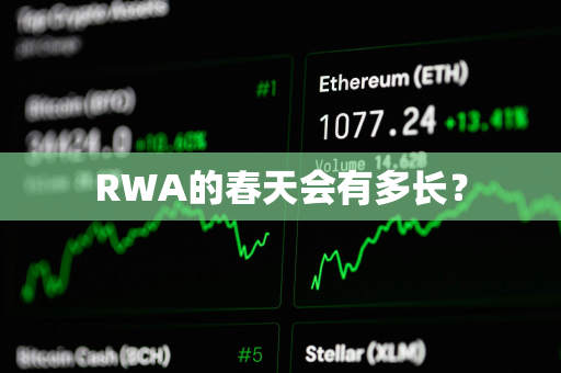 RWA的春天会有多长？