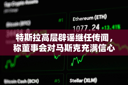 特斯拉高层辟谣继任传闻，称董事会对马斯克充满信心