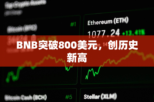 BNB突破800美元,创历史新高 BNB突破800美元,创历史新高