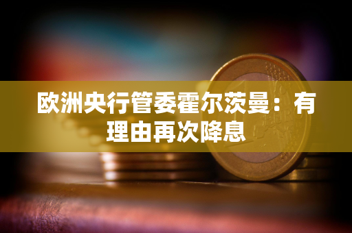 欧洲央行管委霍尔茨曼：有理由再次降息
