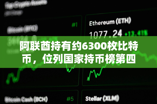 阿联酋持有约6300枚比特币，位列国家持币榜第四