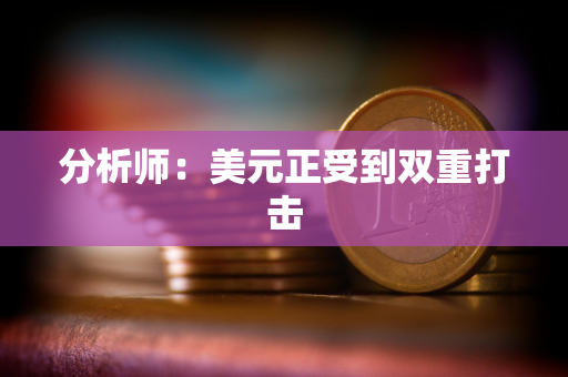 分析师：美元正受到双重打击