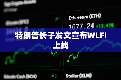 特朗普长子发文宣布WLFI上线 特朗普长子发文宣布WLFI上线