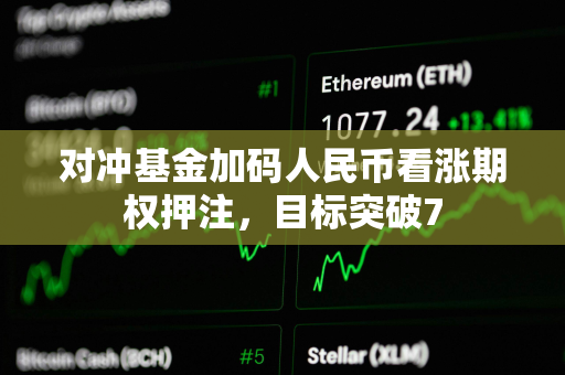 对冲基金加码人民币看涨期权押注，目标突破7