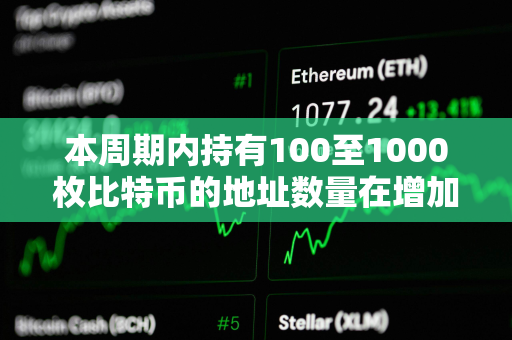 本周期内持有100至1000枚比特币的地址数量在增加