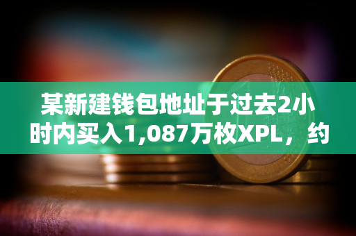 某新建钱包地址于过去2小时内买入1,087万枚XPL，约合1,360万美元