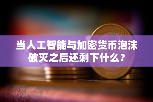当人工智能与加密货币泡沫破灭之后还剩下什么？