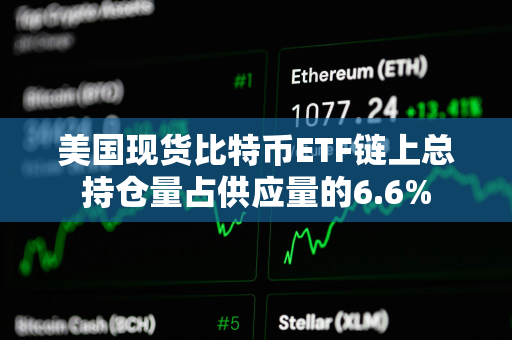美国现货比特币ETF链上总持仓量占供应量的6.6%
