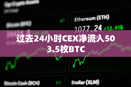过去24小时CEX净流入503.5枚BTC