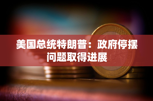 美国总统特朗普：政府停摆问题取得进展