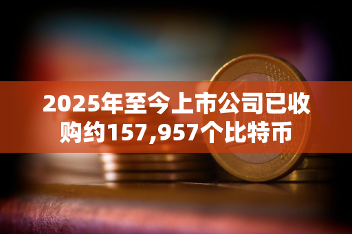 2025年至今上市公司已收购约157,957个比特币