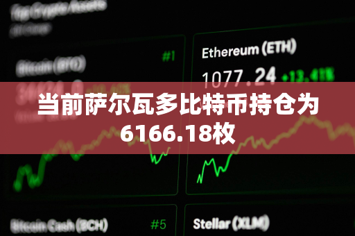 当前萨尔瓦多比特币持仓为6166.18枚
