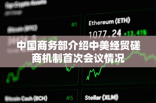 中国商务部介绍中美经贸磋商机制首次会议情况
