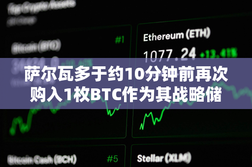 萨尔瓦多于约10分钟前再次购入1枚BTC作为其战略储备 萨尔瓦多于约10分钟前再次购入1枚BTC作为其战略储备