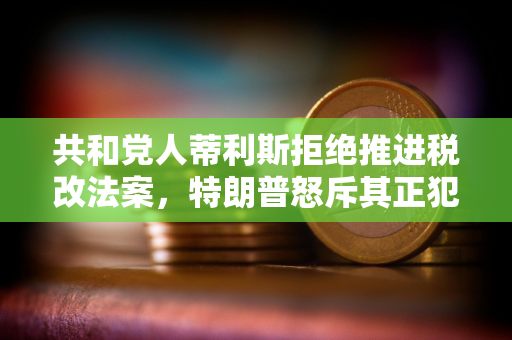 共和党人蒂利斯拒绝推进税改法案，特朗普怒斥其正犯下大错