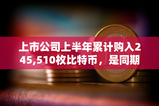 上市公司上半年累计购入245,510枚比特币，是同期ETF购入量的两倍多