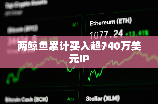 两鲸鱼累计买入超740万美元IP