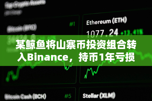 某鲸鱼将山寨币投资组合转入Binance，持币1年亏损超400万美元
