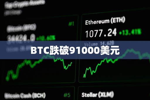 BTC跌破91000美元
