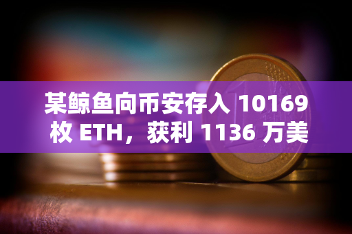 某鲸鱼向币安存入 10169 枚 ETH，获利 1136 万美元
