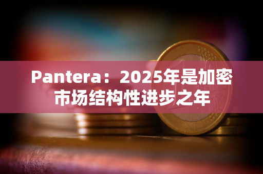 Pantera：2025年是加密市场结构性进步之年