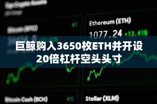 巨鲸购入3650枚ETH并开设20倍杠杆空头头寸