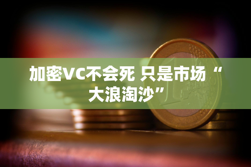 加密VC不会死 只是市场“大浪淘沙”