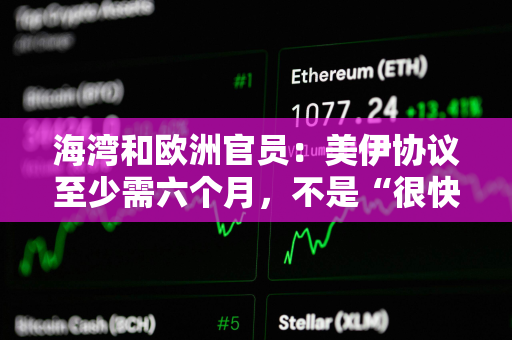 海湾和欧洲官员：美伊协议至少需六个月，不是“很快”