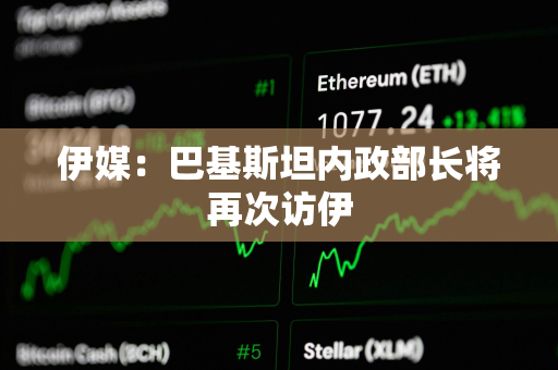 伊媒：巴基斯坦内政部长将再次访伊