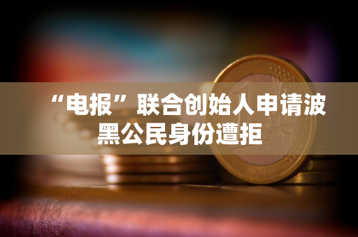 “电报”联合创始人申请波黑公民身份遭拒