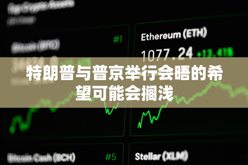 特朗普与普京举行会晤的希望可能会搁浅