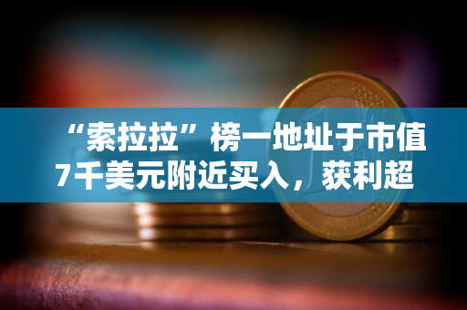“索拉拉”榜一地址于市值7千美元附近买入，获利超2650倍