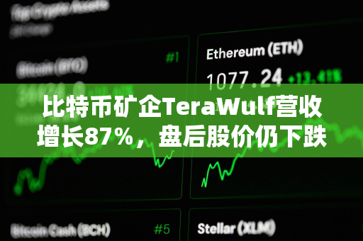 比特币矿企TeraWulf营收增长87%，盘后股价仍下跌