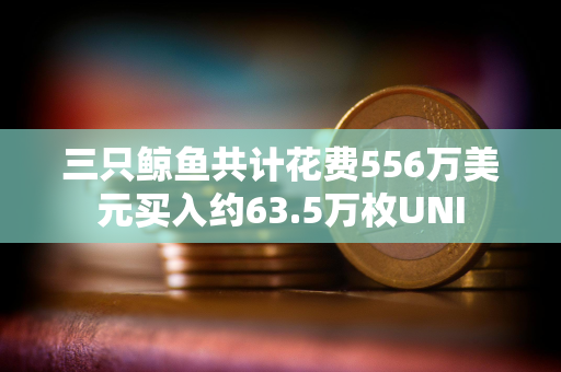 三只鲸鱼共计花费556万美元买入约63.5万枚UNI