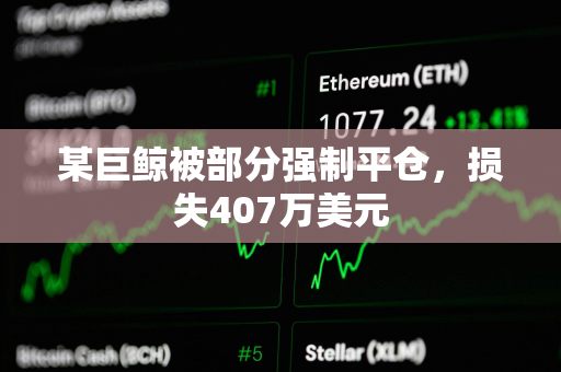 某巨鲸被部分强制平仓，损失407万美元