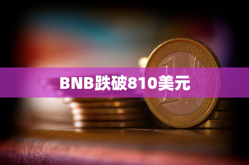 BNB跌破810美元