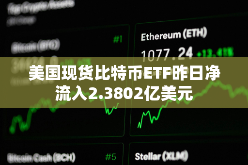 美国现货比特币ETF昨日净流入2.3802亿美元