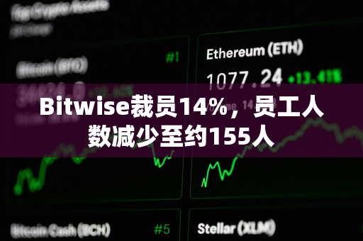 Bitwise裁员14%，员工人数减少至约155人